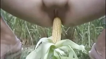 মাই বাংলা চোদাচুদি বই এর কাজের